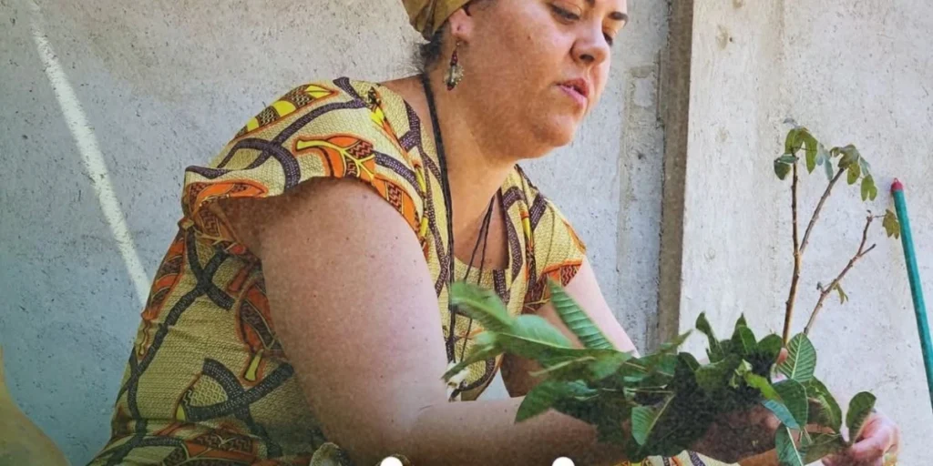 O retorno à origem a conexão perdida entre plantas, remédios e espiritualidade